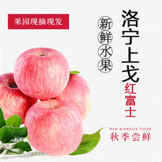 洛邮记 【金融积分兑换】力丰 2.5kg 上戈红富士苹果