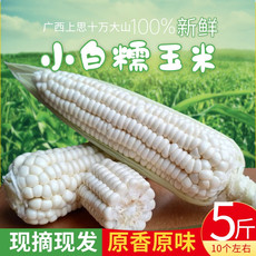 广西大山农家糯玉米新鲜5斤上思玉米苞谷应季健康粗粮现摘现发