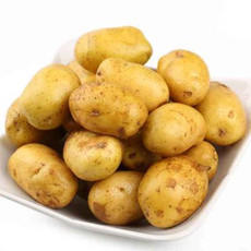 现挖小土豆 新鲜马铃薯洋芋 农家新鲜蔬菜10斤
