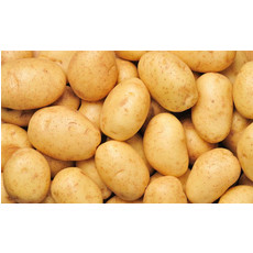 农家自产 现挖土豆洋芋马铃薯小土豆农家蔬菜9斤装